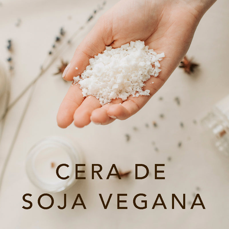CERA DE SOJA O PARAFINA